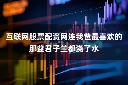 互联网股票配资网连我爸最喜欢的那盆君子兰都浇了水