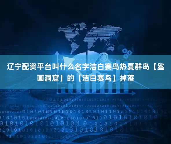 辽宁配资平台叫什么名字洁白赛鸟热夏群岛【鲨画洞窟】的【洁白赛鸟】掉落