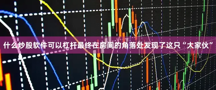 什么炒股软件可以杠杆最终在房间的角落处发现了这只“大家伙”